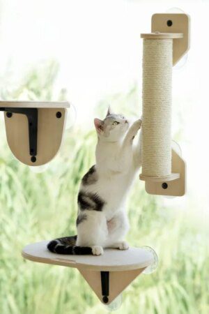 Mewoofun Cat Window Perch Hammock with Climbing Steps & Scratching Post – Wooden Mounted Cat Bed