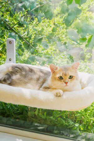 Mewoofun Foldable Cat Window Perch – Cordless Suction Cup Window Hammock with Removable Soft Cover