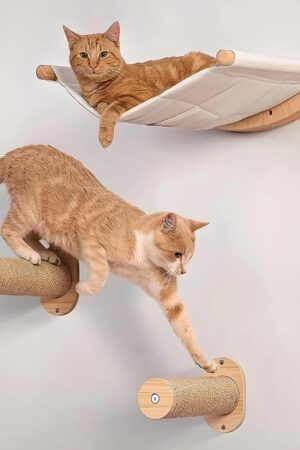 Wall-Mounted Cat Hammock Shelf with Two Steps – Cat Wall Perches for Sleeping, Playing & Climbing