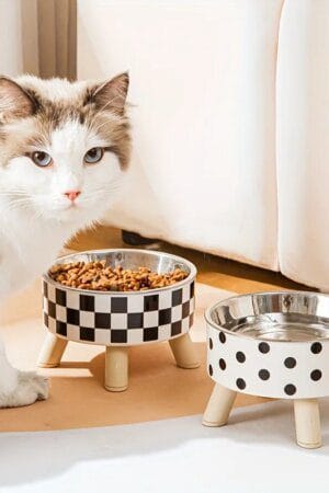 Elevated Stainless Steel Cat Bowl with Neck Protection – Anti-Slip Feeding Tray for Cats