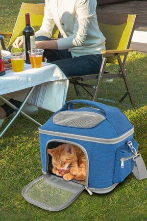 Blue Collapsible Pet Carrier – 600D Oxford Waterproof Travel Bag for Cats (Up to 7kg)