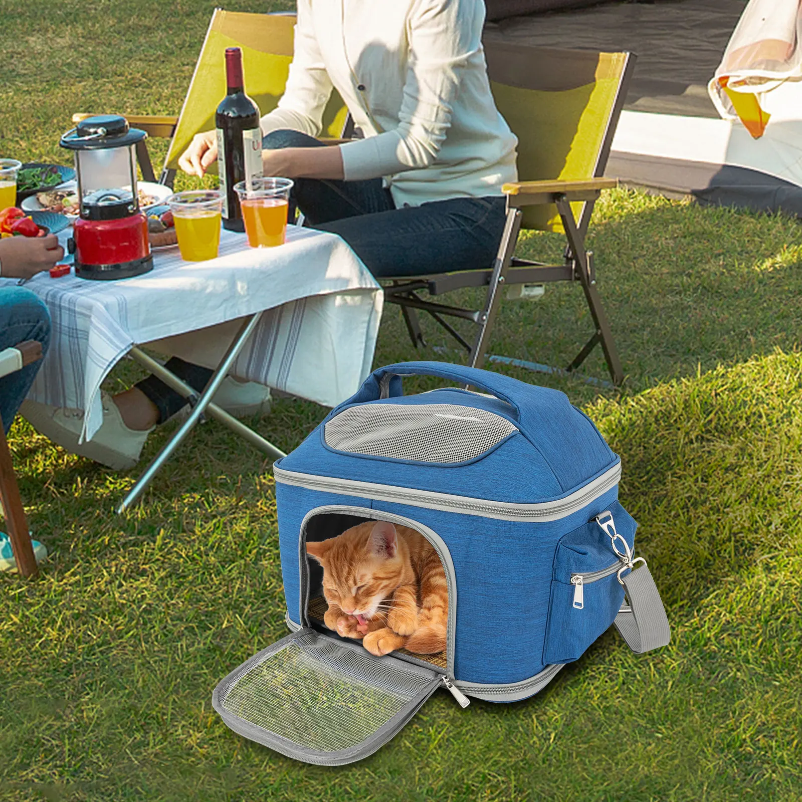 Blue Collapsible Pet Carrier – 600D Oxford Waterproof Travel Bag for Cats (Up to 7kg)