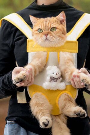 Portable Hands-Free Dog & Cat Carrier Backpack – Breathable Pet Travel Bag with Adjustable Straps