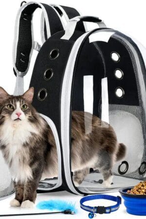 Airline-Approved Bubble Pet Backpack Carrier – 4PCS Set with Collapsible Bowl, Cat Collar & Interactive Toy