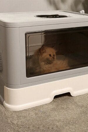 Large Hooded Top-Entry Cat Litter Box – Enclosed Anti-Splash Drawer Tray with Scoop