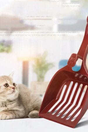 Plastic Cat & Dog Litter Scoop – Lightweight Sand & Poop Cleaning Shovel for Pets