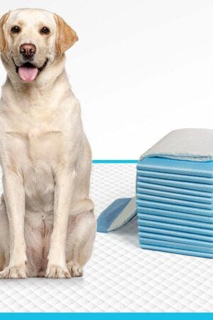 100PCS Bamboo Charcoal Puppy Training Pads – Super Absorbent 5-Layer Leak-Proof Dog Pee Pads