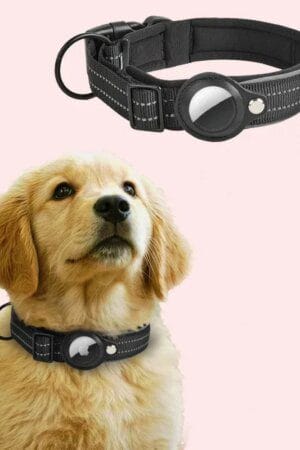 AirTag Dog Collar with Holder Case – Reflective Padded Adjustable Pet Collar for Small, Medium & Large Dogs