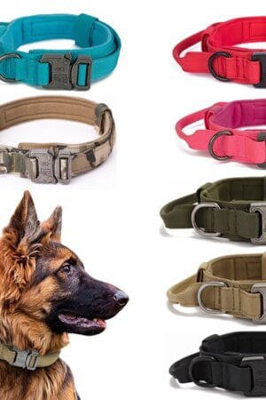 Durable Nylon Dog Collar & Leash Set – Reflective Tactical Training Leash for Large Dogs