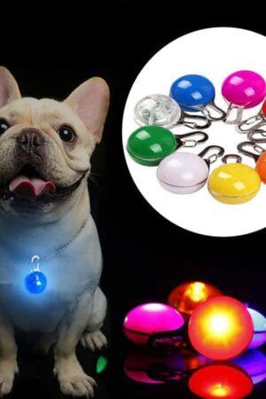 LED Dog Collar Light – Glow-in-the-Dark Reflective Anti-Lost Safety Pendant for Pets