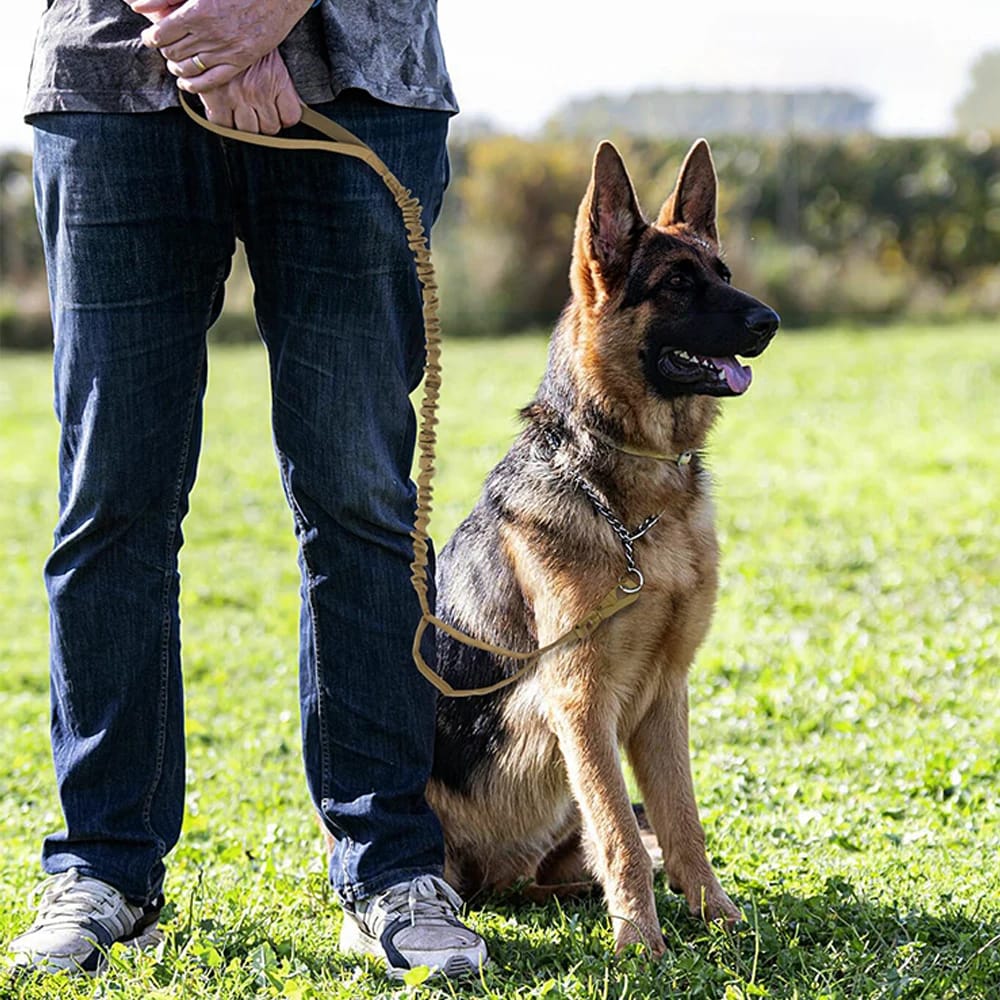 Military Dog Leash Adjustable Elastic Rope with Quick Release & Dual Control Handles for Small & Medium Dogs - Image 5