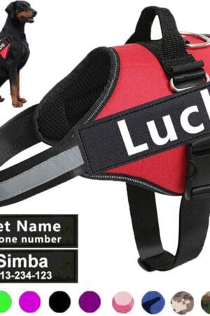 No-Pull Reflective Dog Harness – Breathable Adjustable Pet Vest with Custom ID Patch for Outdoor Walking