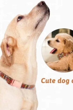 Plaid Dog Collar & Leash Set with Bow Tie – Adjustable Cute Puppy Collar with Durable Metal Buckle