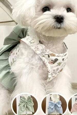 Dog & Cat Harness, Collar & Leash Set – Adjustable Pet Vest, Necklace Collar & Puppy Accessories