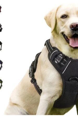 Leather Dog Collar, Harness & Leash Set – Pet Vest Accessories for Small & Medium Dogs