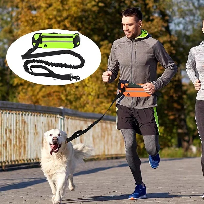 Hands-Free Dog Leash for Running & Walking – Reflective Elastic Traction Rope with Waist Bag - Image 3