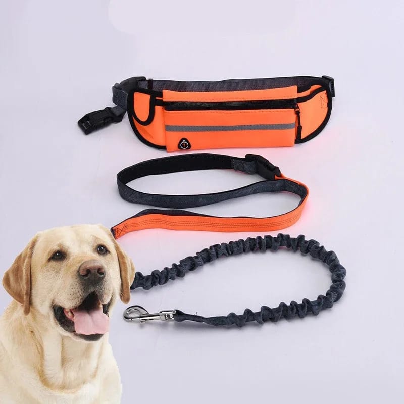 Hands-Free Dog Leash for Running & Walking – Reflective Elastic Traction Rope with Waist Bag - Image 5