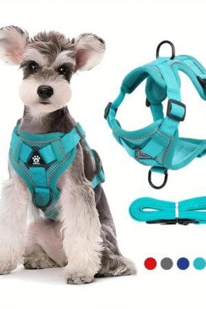 No-Pull Dog & Cat Harness Leash Set – Adjustable Reflective Pet Vest for Walking
