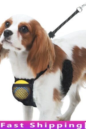 Non-Pulling Dog Harness with Storage Pouch – Adjustable Reflective Lightweight Mesh Step-In Comfort Flex System