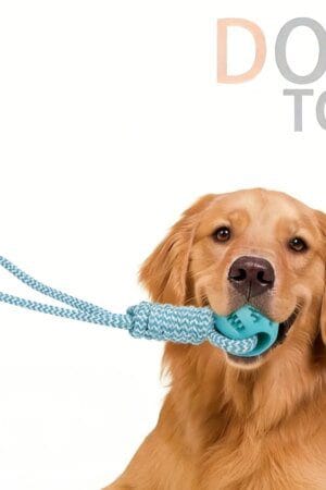 Dog Chew Toy with Treat Dispenser – Interactive Silicone Ball & Rope Toy