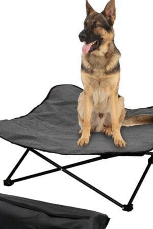 Portable Elevated Dog Bed – Folding Raised Pet Cot with Padded Surface & Carry Bag for Indoor, Camping & Travel