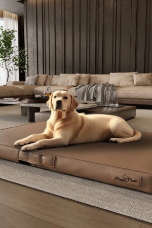 Foldable Pet Bed with Microfiber Leather Cover – Bite-Proof 3D Comfort Mat (L, XL, XXL)