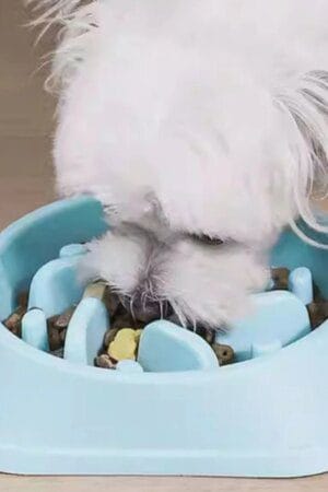Dog Slow Feeder Bowl Anti-Choking Non-Slip Puzzle Dish