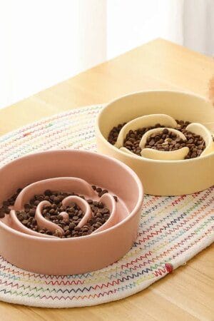 Ceramic Slow Feeder Pet Bowl Anti-Choke for Dogs & Cats