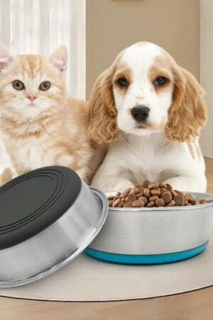 Stainless Steel Pet Bowl with Non-Slip Base for Dogs & Cats