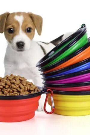 Durable TPR Portable Pet Food Bowl Collapsible Travel Bowl