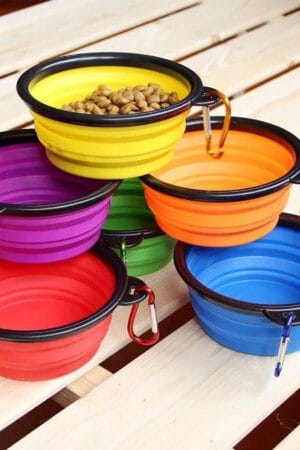 Folding Silicone Dog Bowl Portable Pet Water Container with Carabiner