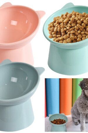 Tilted Elevated Cat Food Bowl Anti-Vomiting Non-Slip