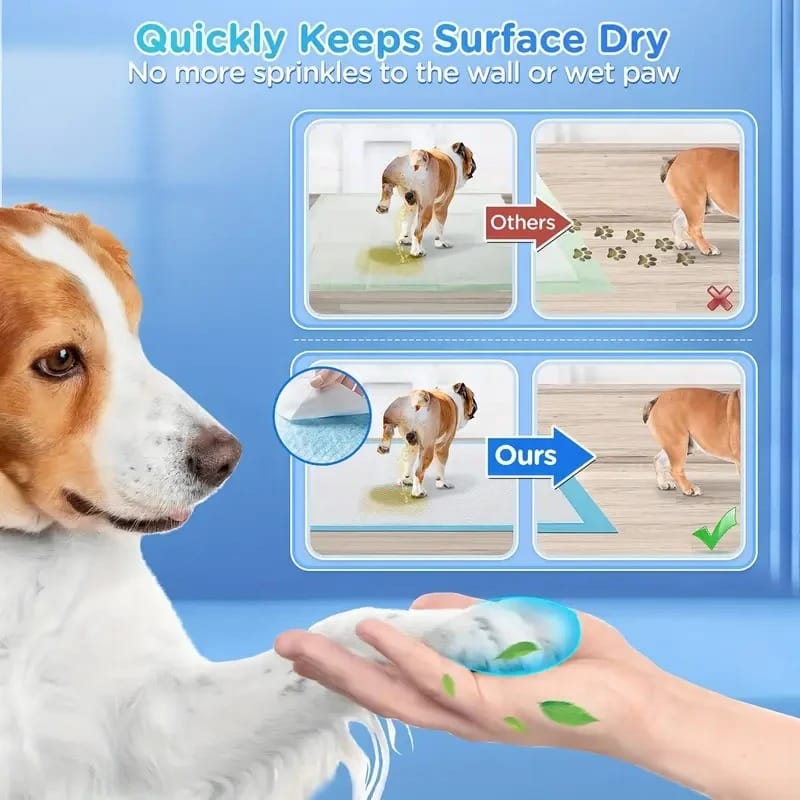 Disposable Dog Pee Pads Leak-Proof Quick-Dry for Puppy Potty Training - Image 4