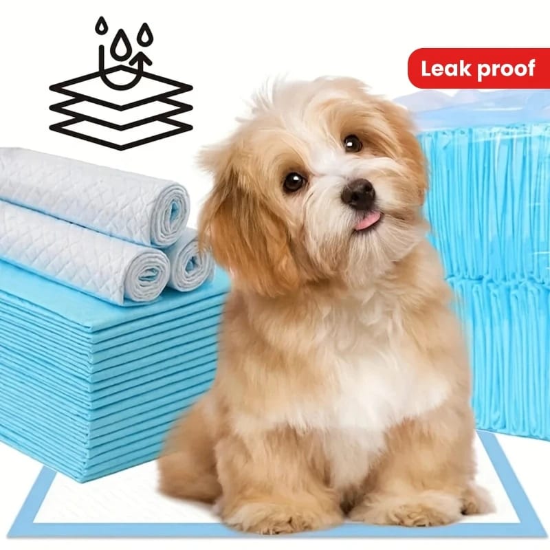 Disposable Dog Pee Pads Leak-Proof Quick-Dry for Puppy Potty Training
