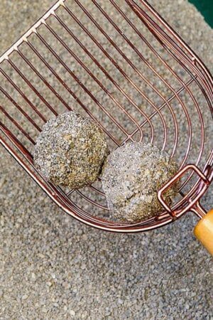 Self-Cleaning Cat Litter Shovel Stainless Steel Metal Scooper