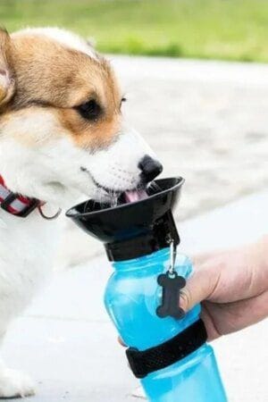 500ml Portable Dog Water Bottle – Travel Bowl