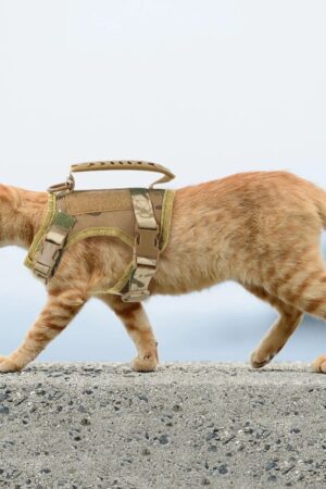 Tactical Cat & Small Dog Harness Adjustable Military Vest with Control Handle