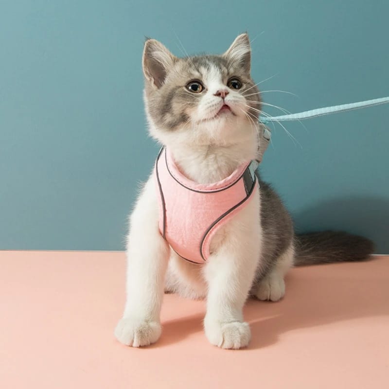 Breathable Reflective Cat Harness & Leash Set for Kittens, Cats & Small Dogs - Image 3