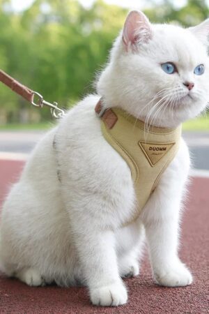 Breathable Cat & Puppy Harness Leash Set for Outdoor Walking – Durable Pet Vest for Small Dogs & Cats