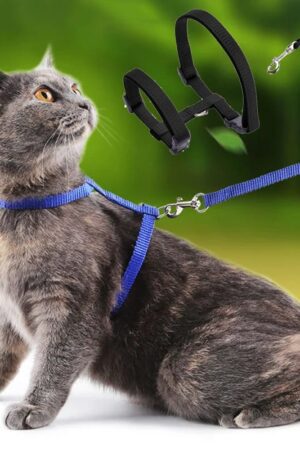 Affordable Sphynx Cat Harness & Leash Set – Lightweight Outdoor Walking Accessories for Cats