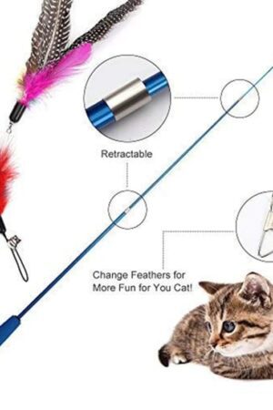 Telescopic Cat Teaser Wand Toy with Feather Replacement Head – Interactive Pet Play Stick