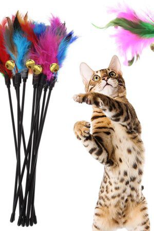 5PCS Colorful Chicken Feather Cat Wand Toys – Funny Portable Interactive Cat Teaser Sticks