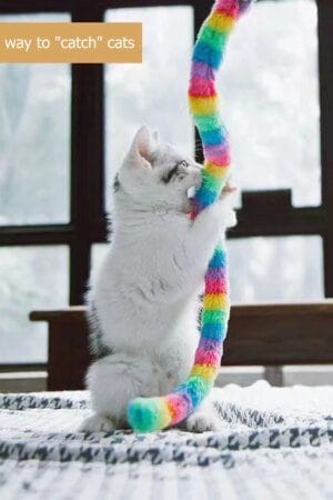 Bite-Resistant Feather Cat Teaser Wand – Cute Caterpillar Interactive Stick for Kittens