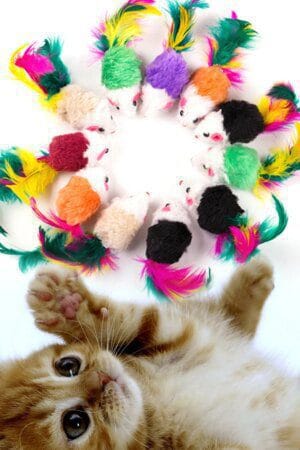 10PCS Plush Cat Mouse Toys with Feather & Rattle – Colorful Indoor Kitten Play Set